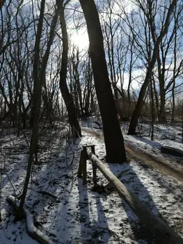 De Panne in de sneeuw (België)